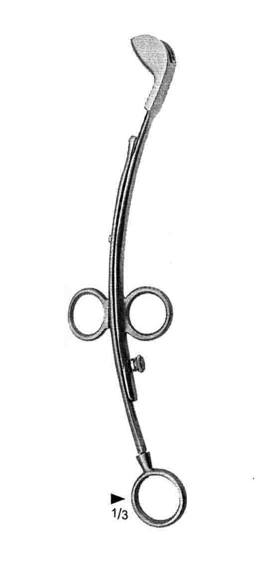 LA-FORCE BADEMCİK ALICI 25CM